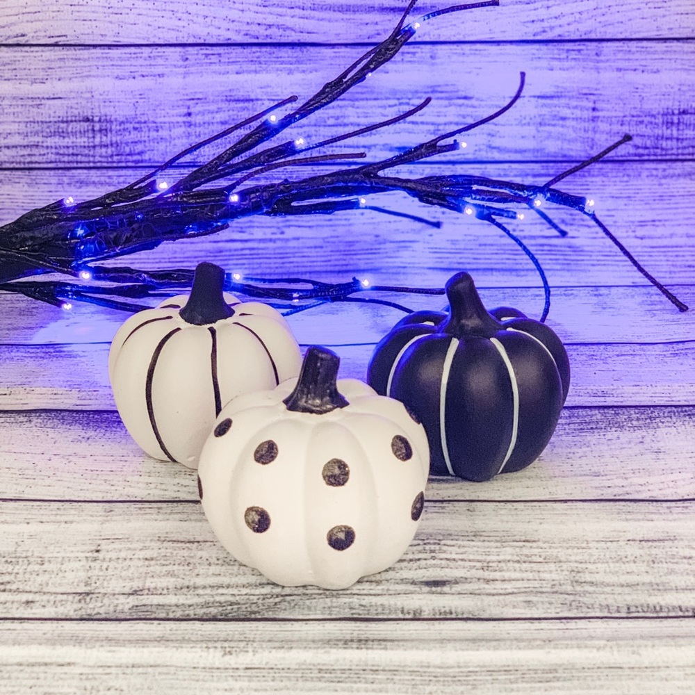 Black and White Pumpkin Trio